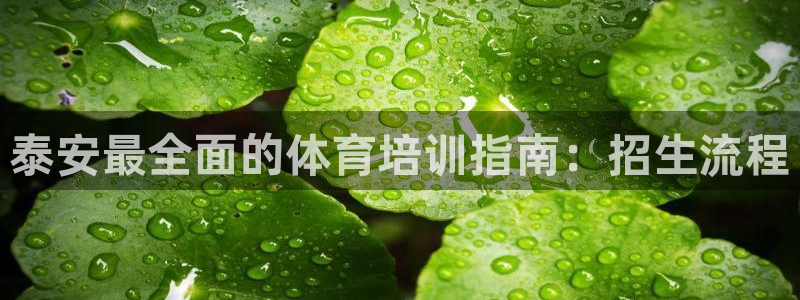 欧陆娱乐官网入口：泰安最全面的体育培训指南：招生流程